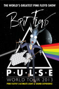Pink Floyd 005 - cuadro decorativo en canvas