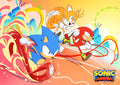 Sonic 006 - cuadro gamer decorativo en canvas