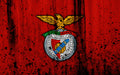 Benfica 011 - cuadro decorativo en canvas