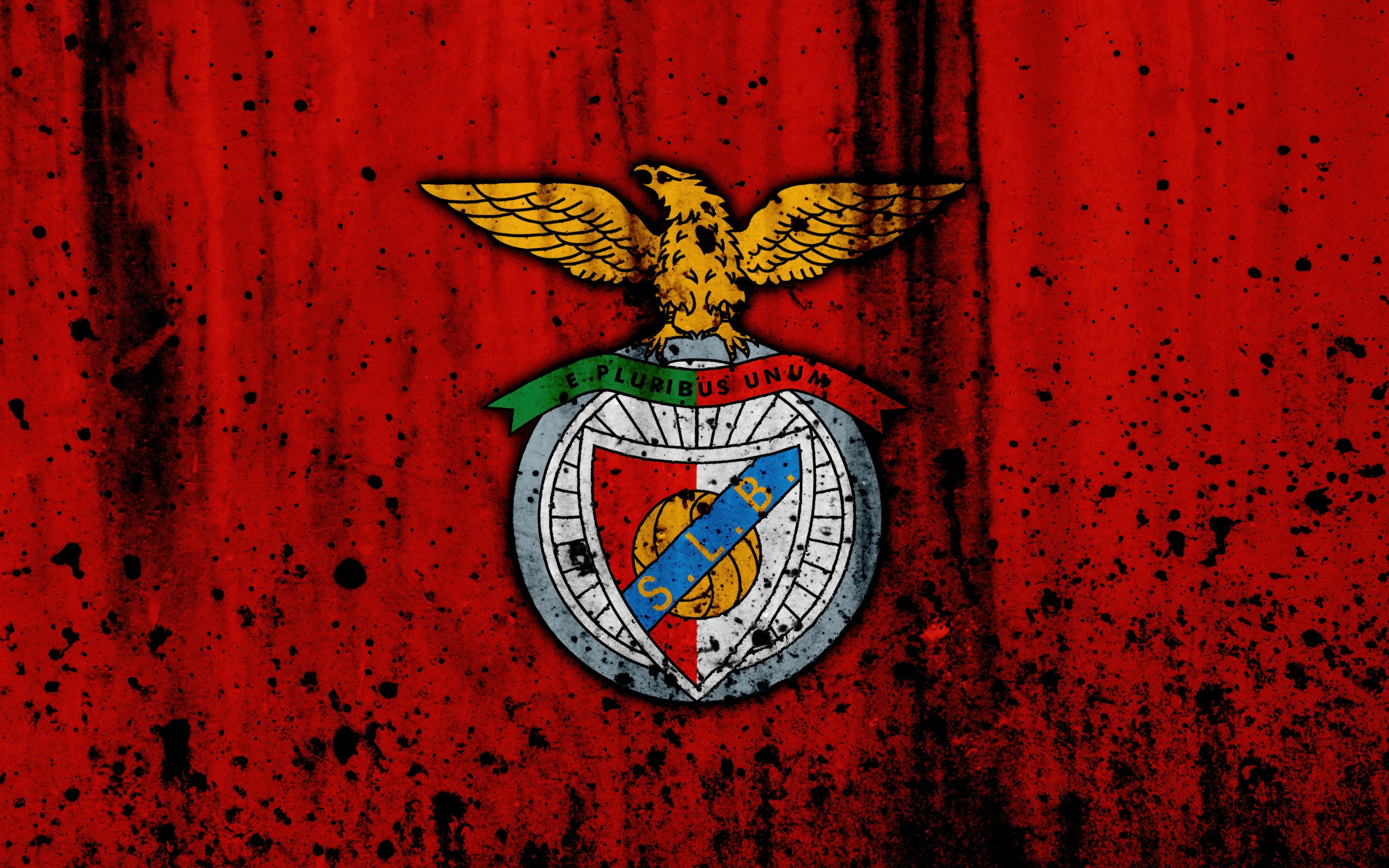 Benfica 011 - cuadro decorativo en canvas