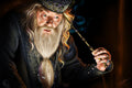 Harry Potter 019 - cuadro decorativo en canvas