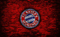 Bayern Múnich 010 - cuadro decorativo en canvas