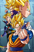 Dragon Ball 015