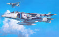 Aviones 012 - cuadro decorativo en canvas