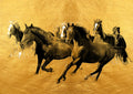 Negro y Dorado 191 - cuadro decorativo en canvas