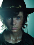 The Walking Dead 031 - cuadro decorativo en canvas