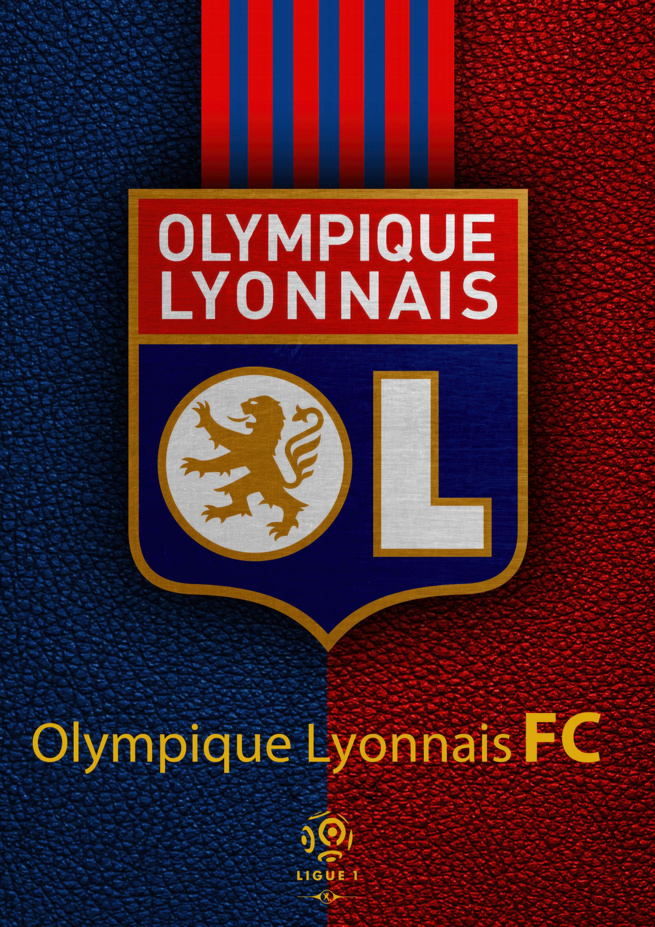 Olympique Lyonnais 002 - cuadro decorativo en canvas
