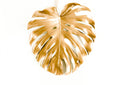 Blanco y Dorado 008 - cuadro decorativo en canvas