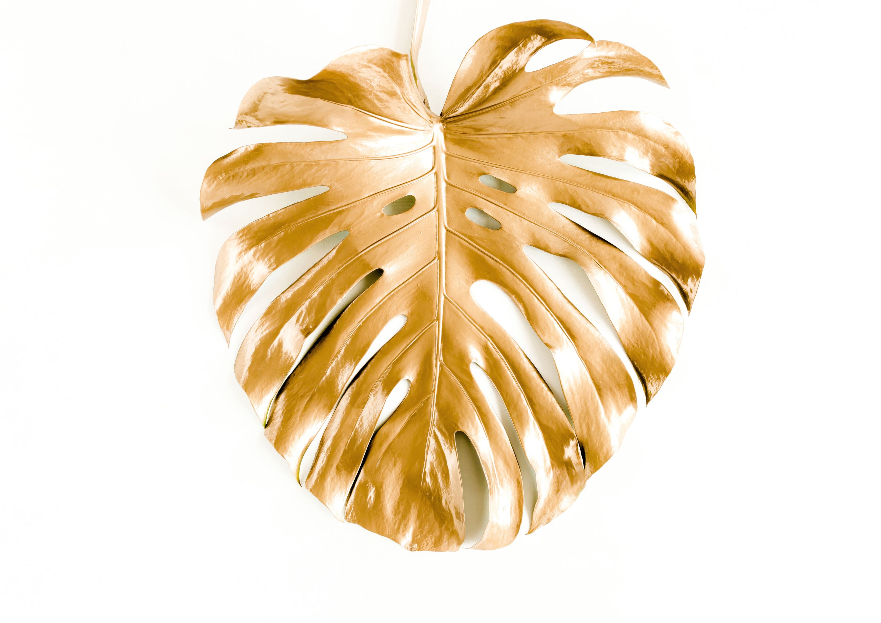 Blanco y Dorado 008 - cuadro decorativo en canvas