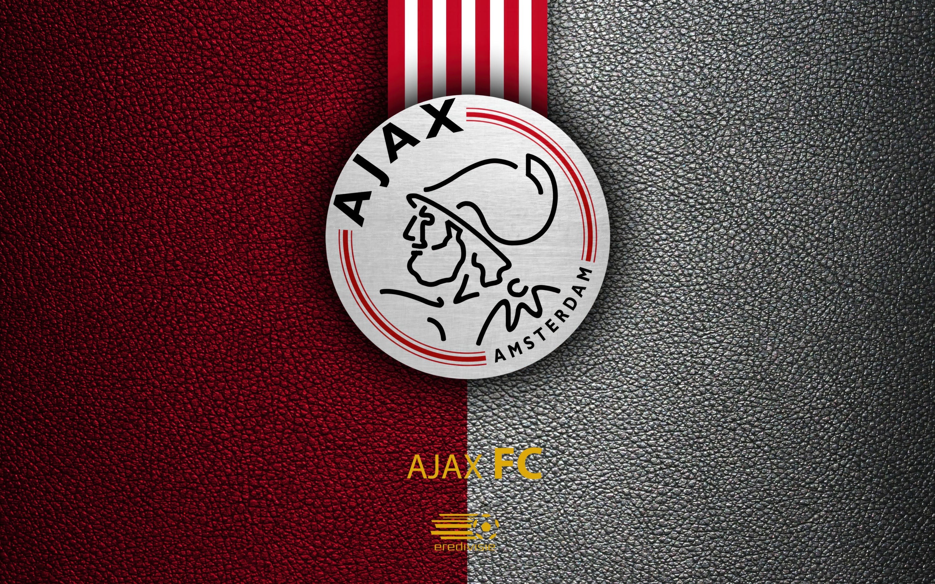 Ajax 007 - cuadro decorativo en canvas