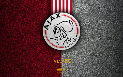 Ajax 007 - cuadro decorativo en canvas