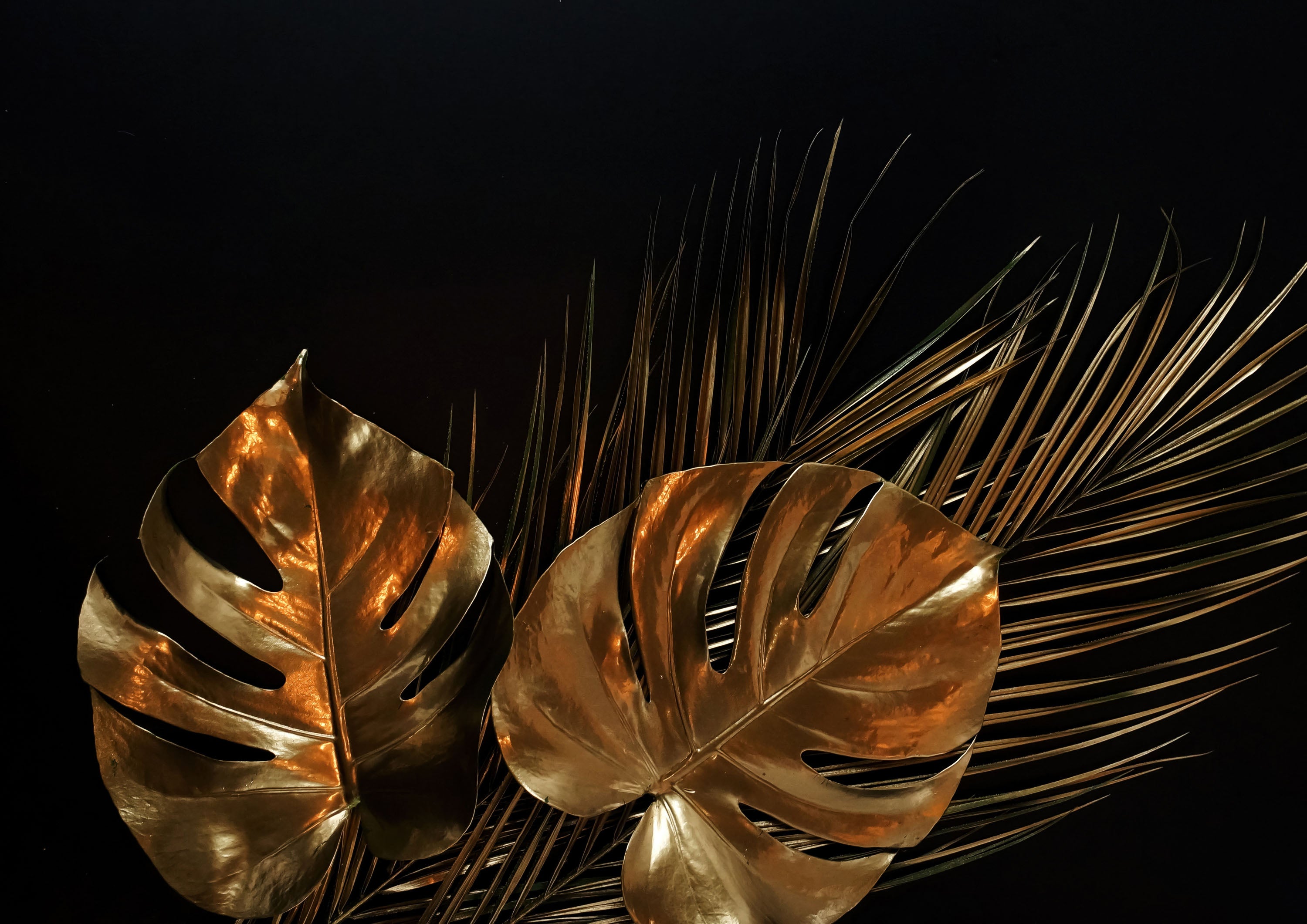 Negro y Dorado 062 - cuadro decorativo en canvas