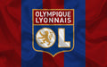 Olympique Lyonnais 010 - cuadro decorativo en canvas