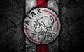 Ajax 003 - cuadro decorativo en canvas