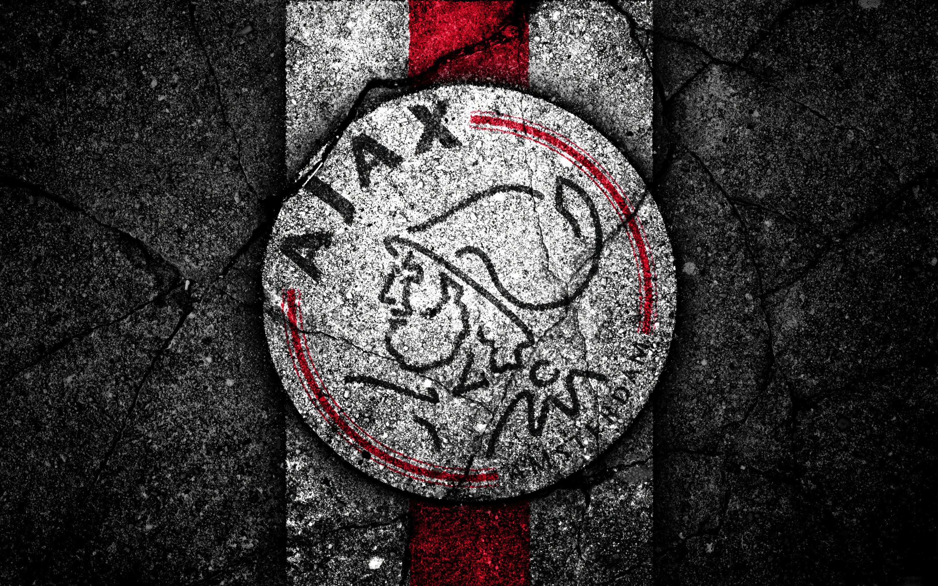 Ajax 003 - cuadro decorativo en canvas