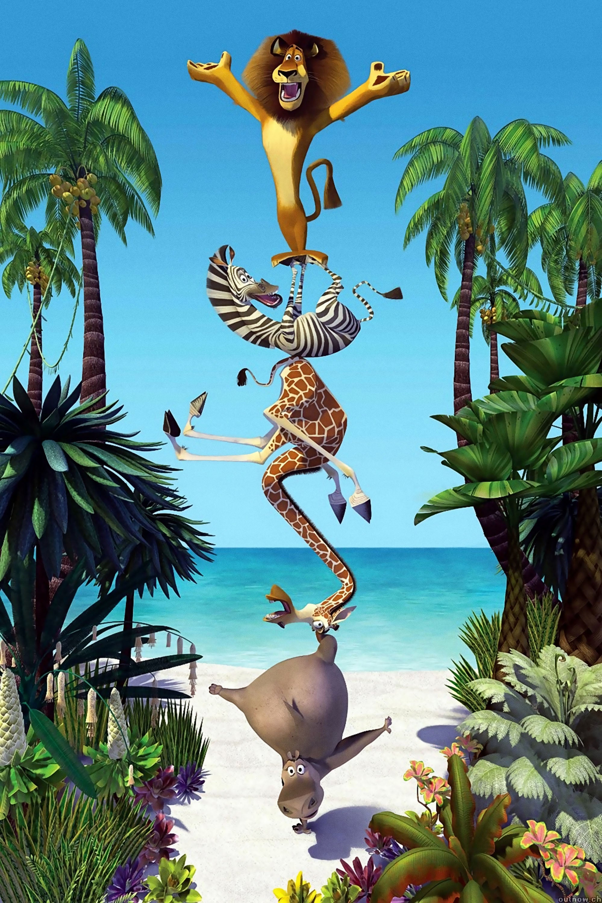 Madagascar 005