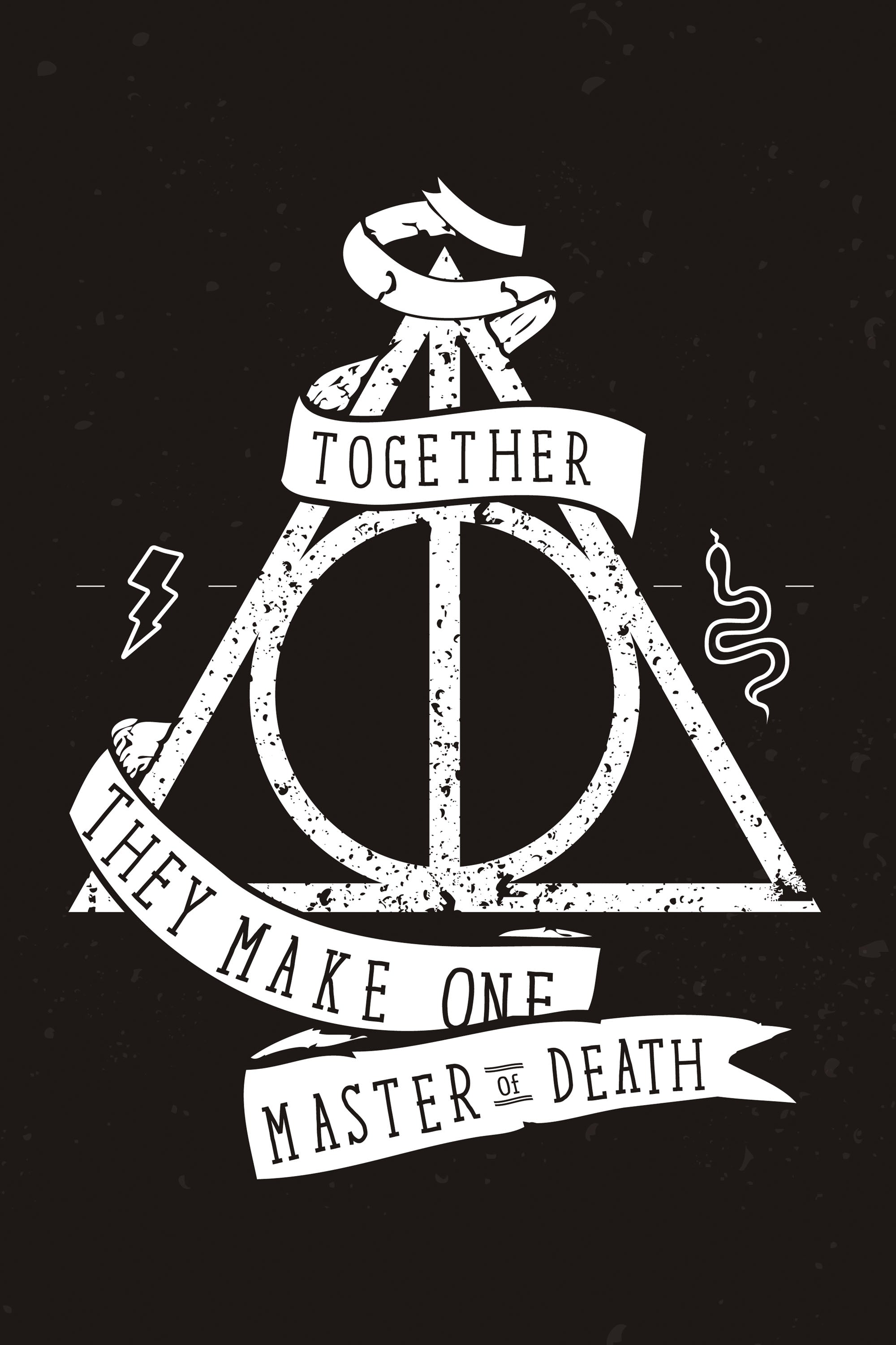 Harry Potter 030 - cuadro decorativo en canvas