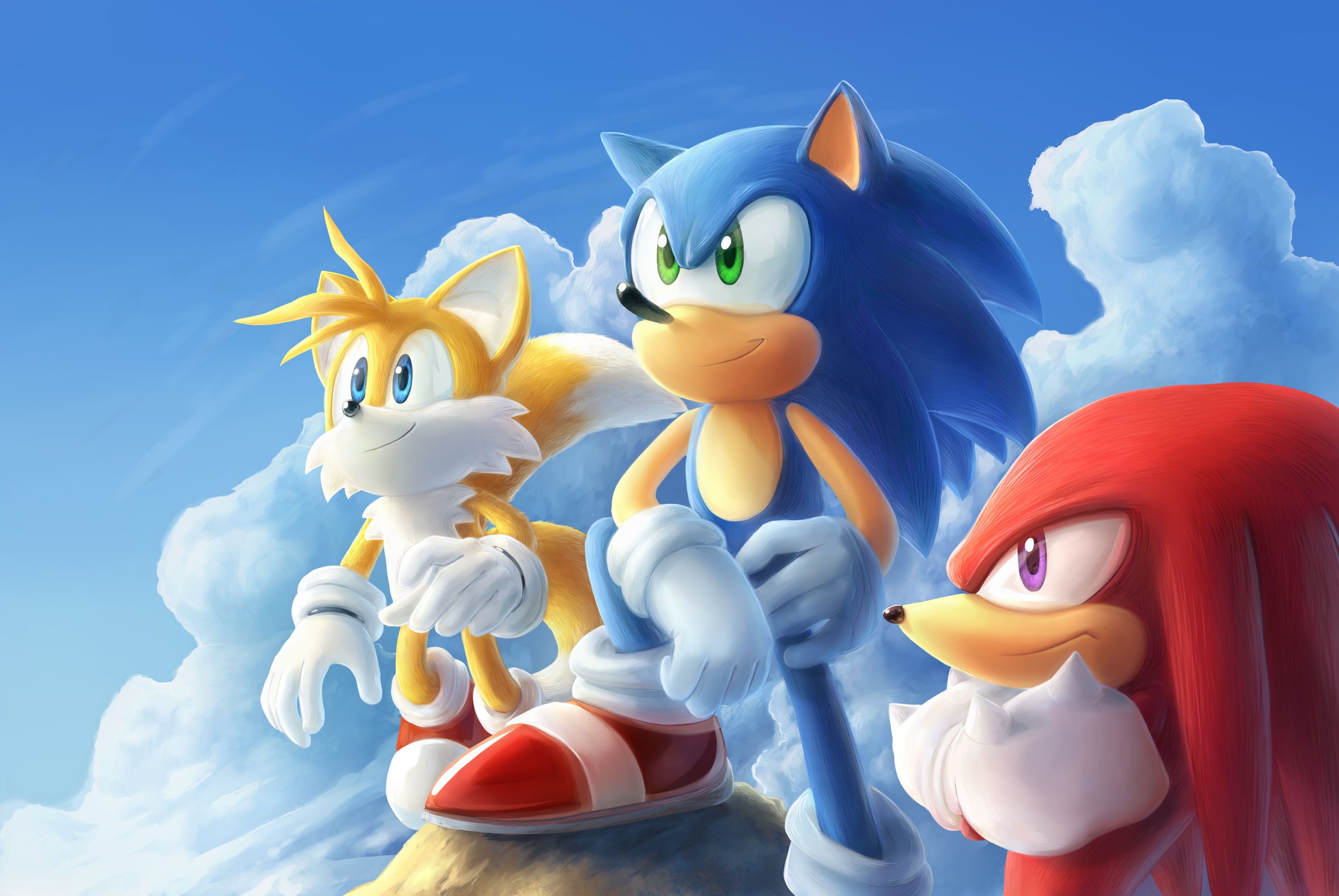 Sonic 009 - cuadro gamer decorativo en canvas