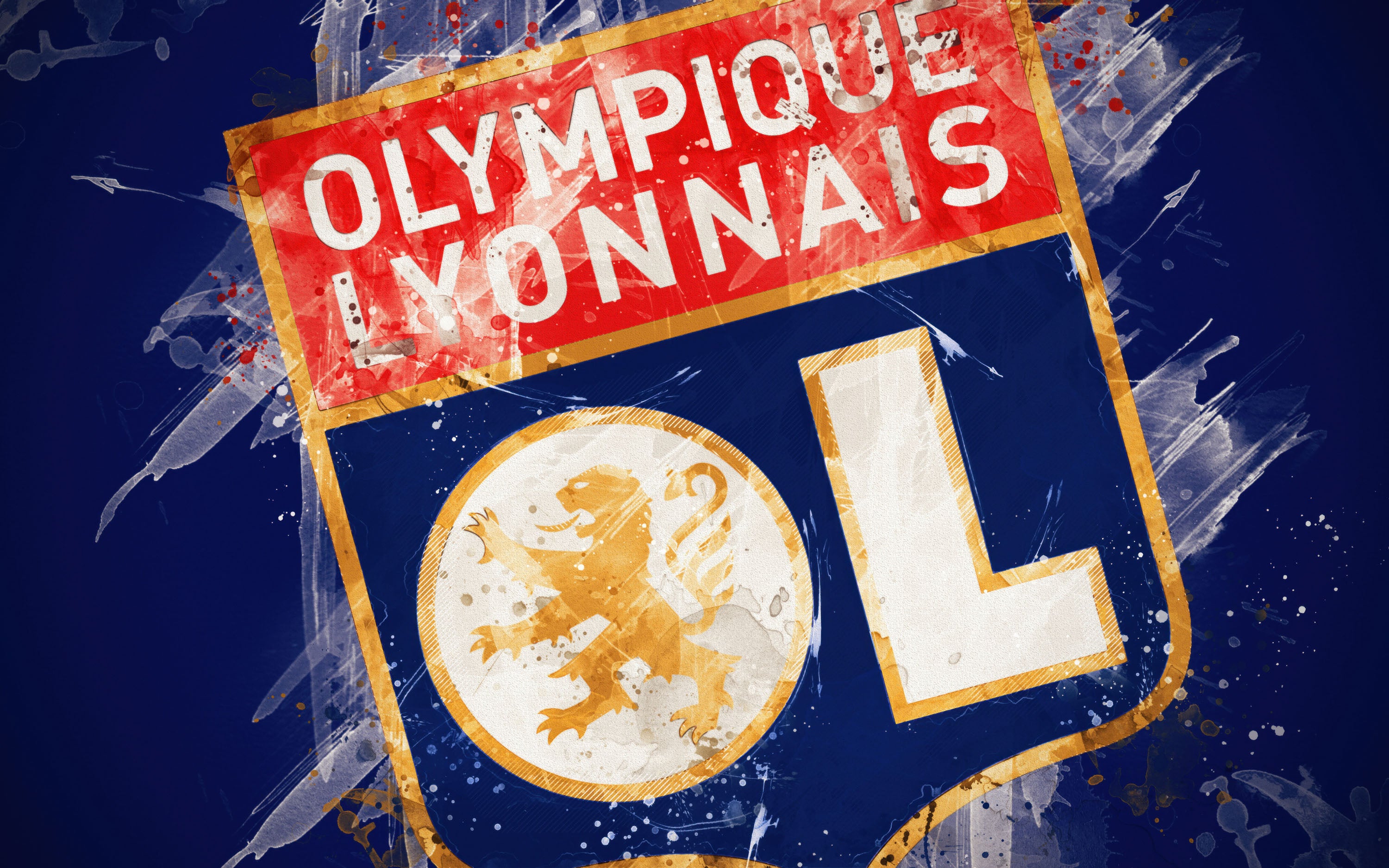 Olympique Lyonnais 006 - cuadro decorativo en canvas