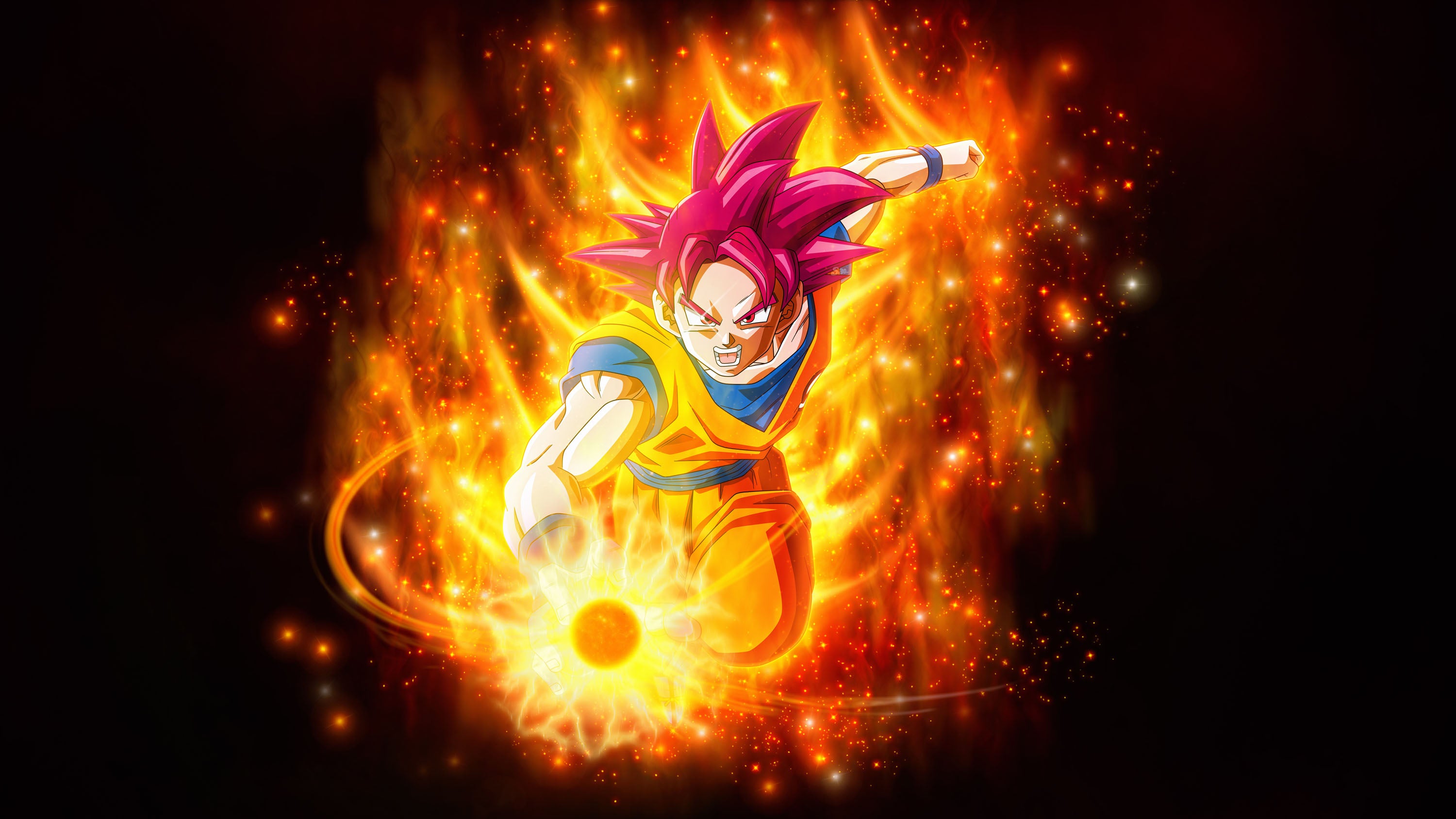 Dragon Ball 028