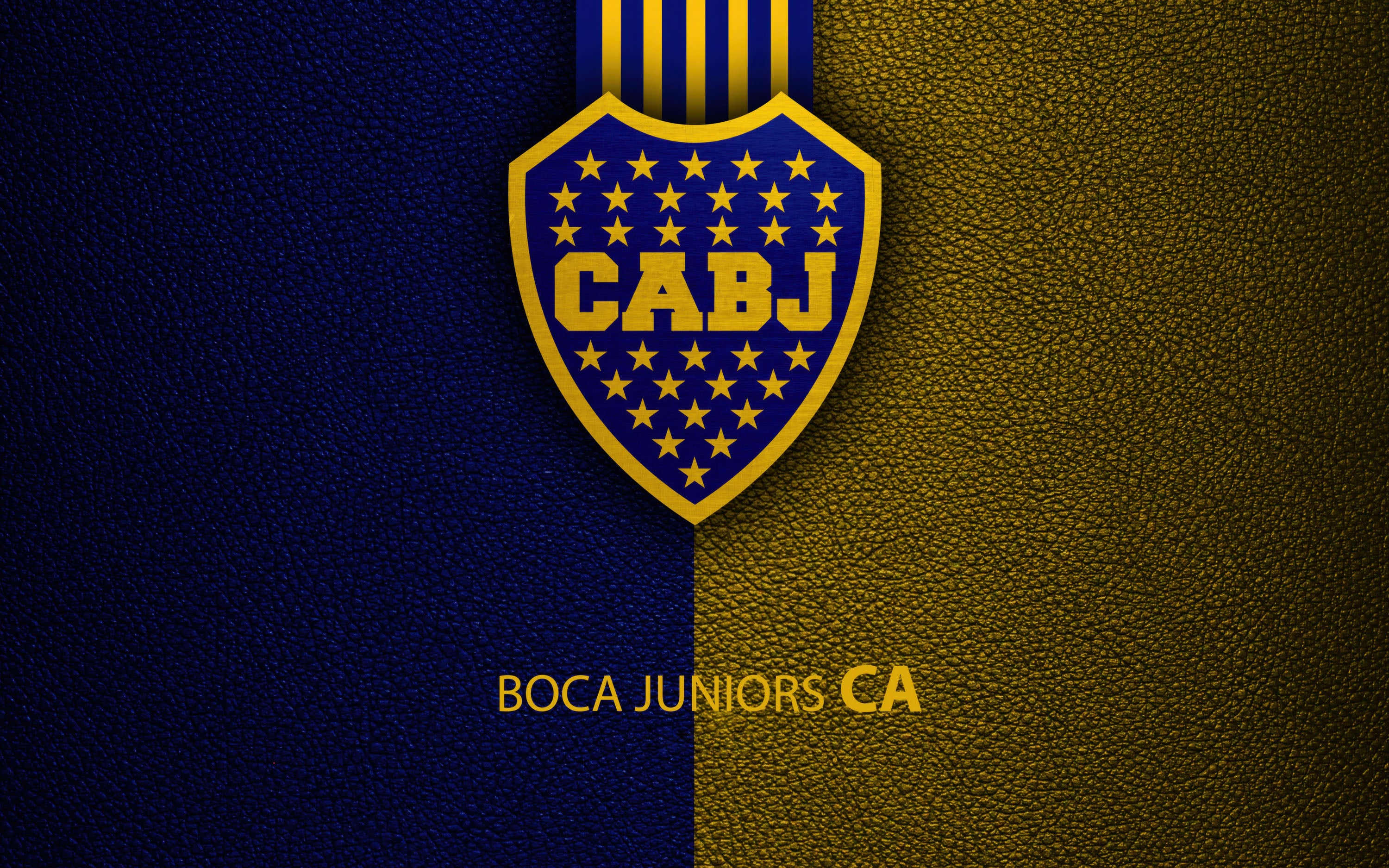 Boca Juniors 012 - cuadro decorativo en canvas