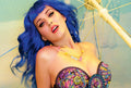 Katy Perry 005 - cuadro decorativo en canvas