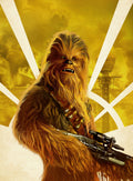 Star Wars 080 - cuadro decorativo en canvas
