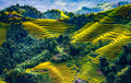 Naturaleza 130 - Cuadro canvas Canvaradas