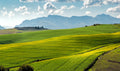 Naturaleza 013 - Cuadro canvas Canvaradas