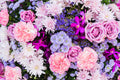Flores 169 - Cuadro canvas Canvaradas