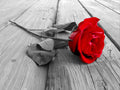 Blanco y Rojo 027 - cuadro decorativo en canvas
