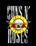 Guns N' Roses 002 - cuadro decorativo en canvas