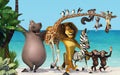 Madagascar 007