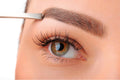 Salón de belleza 102 - Cuadro canvas Canvaradas