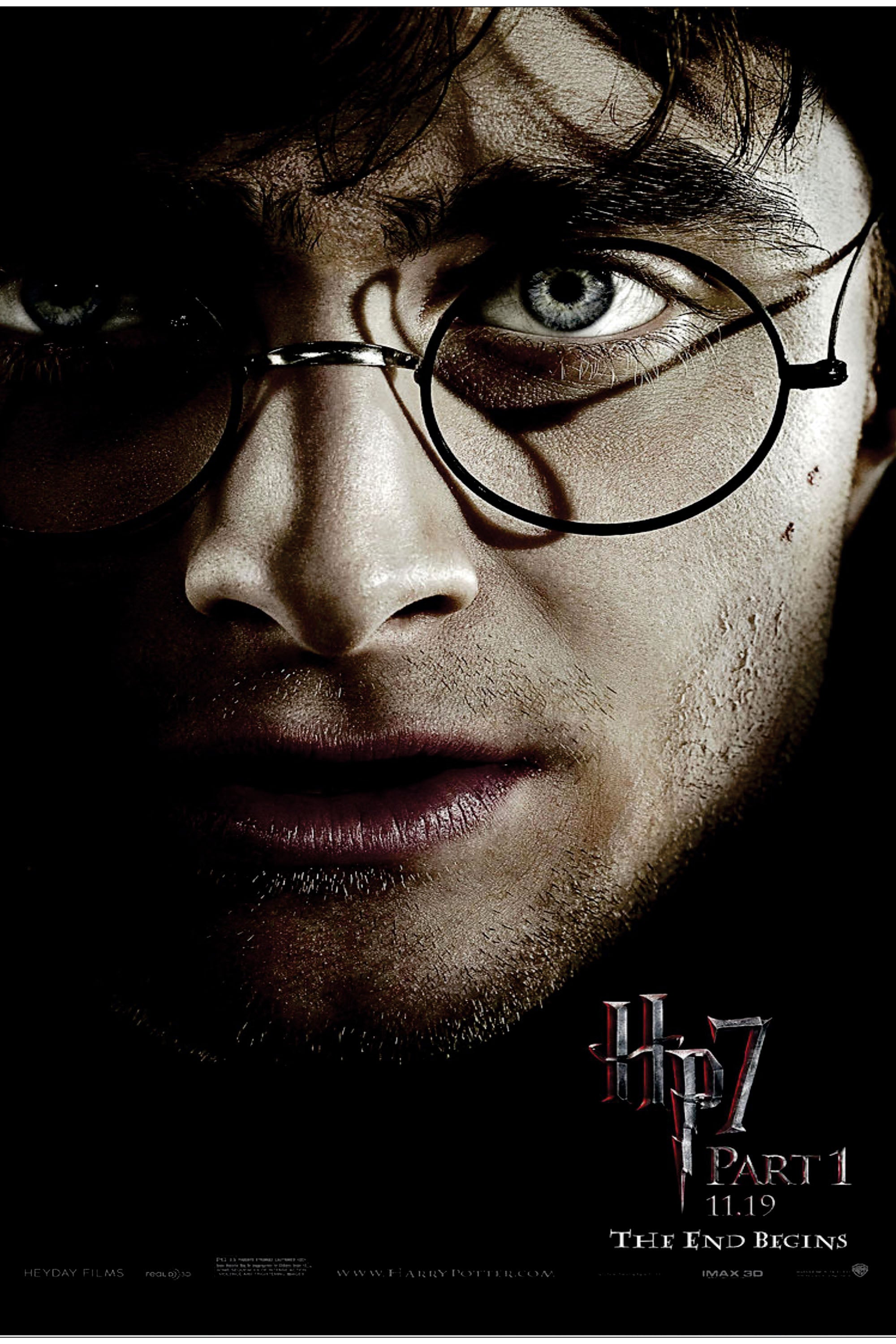 Harry Potter 024 - cuadro decorativo en canvas
