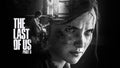 The Last Of Us 011 - cuadro gamer decorativo en canvas