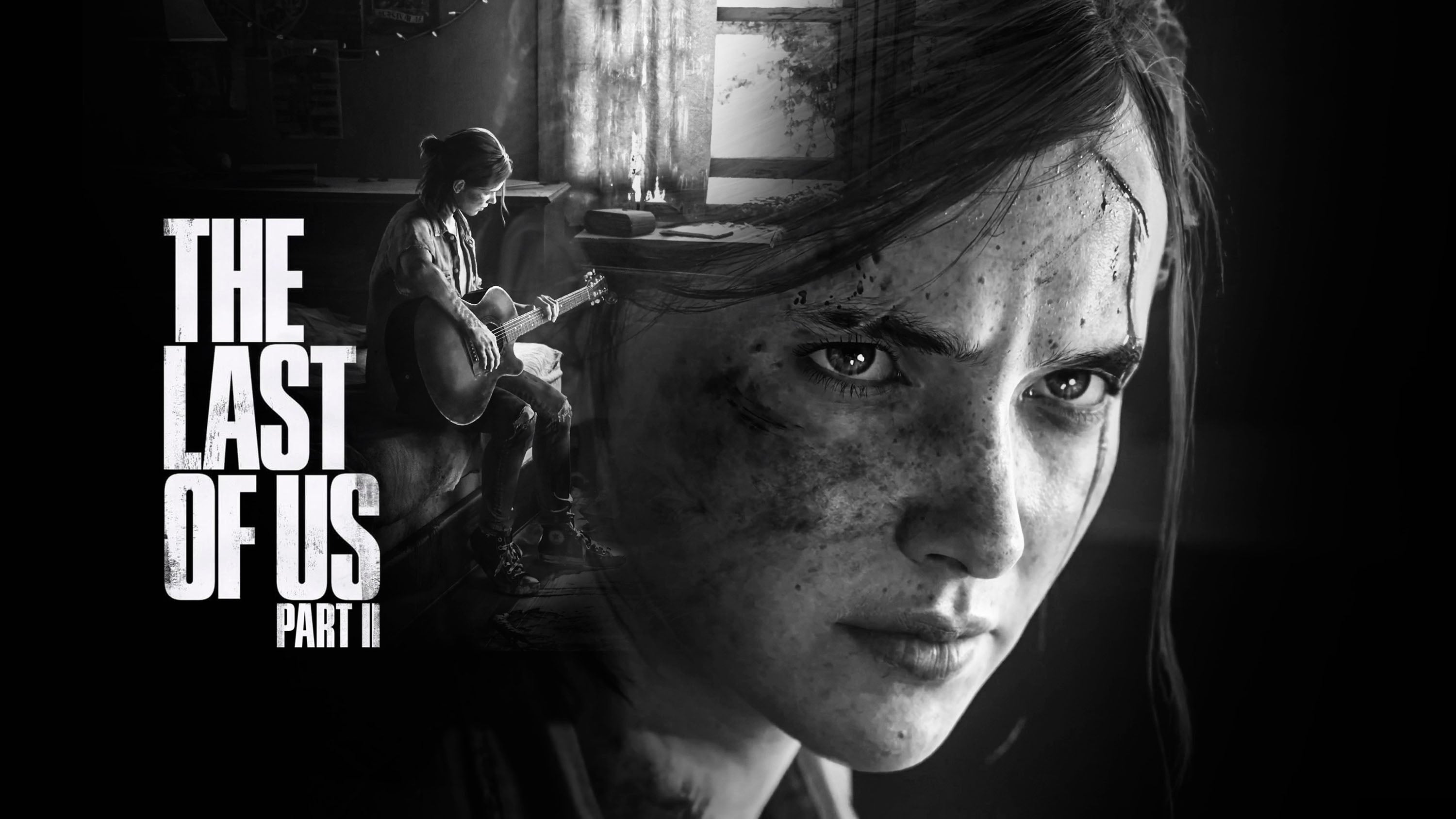 The Last Of Us 011 - cuadro gamer decorativo en canvas