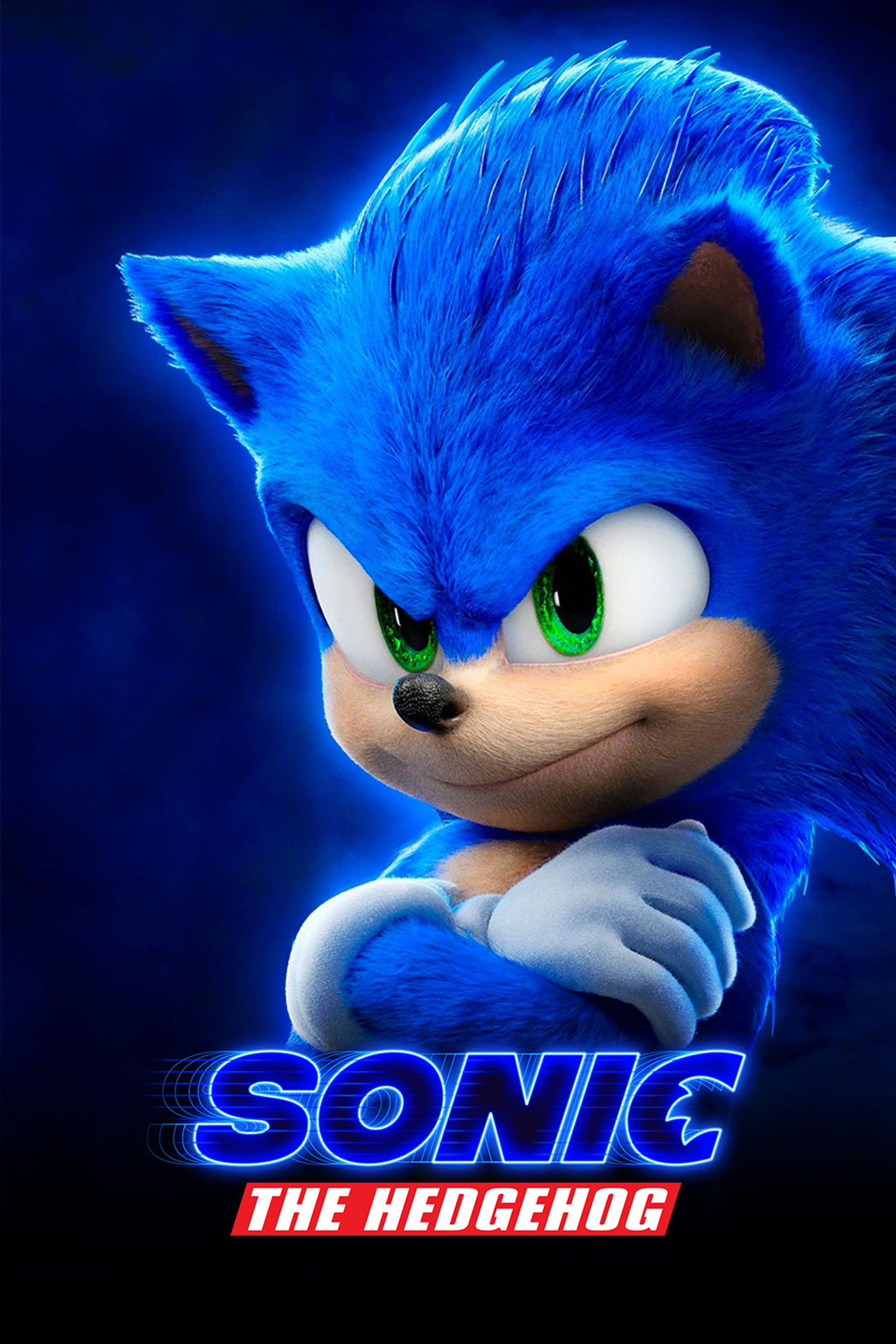 Sonic 001 - cuadro gamer decorativo en canvas