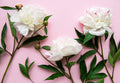 Flores 197 - Cuadro canvas Canvaradas