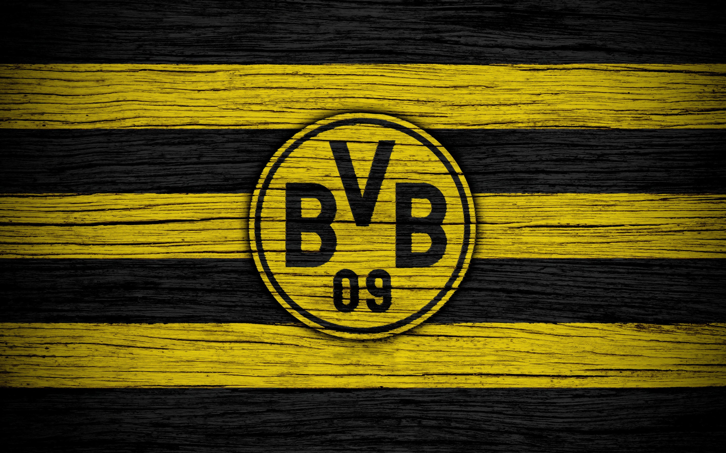 Borussia Dortmund 012 - cuadro decorativo en canvas