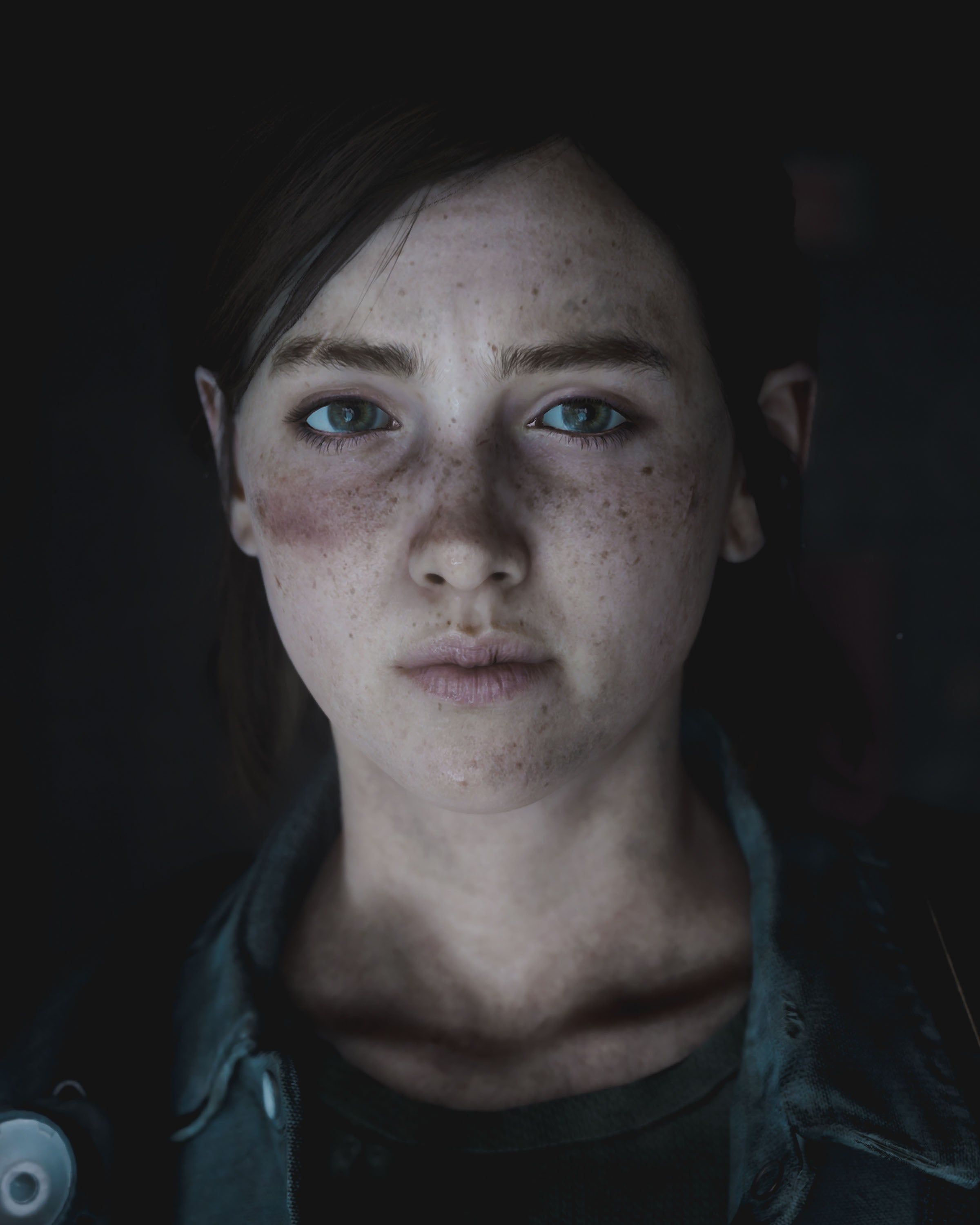 The Last Of Us 005 - cuadro gamer decorativo en canvas