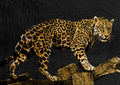 Negro y Dorado 197 - cuadro decorativo en canvas