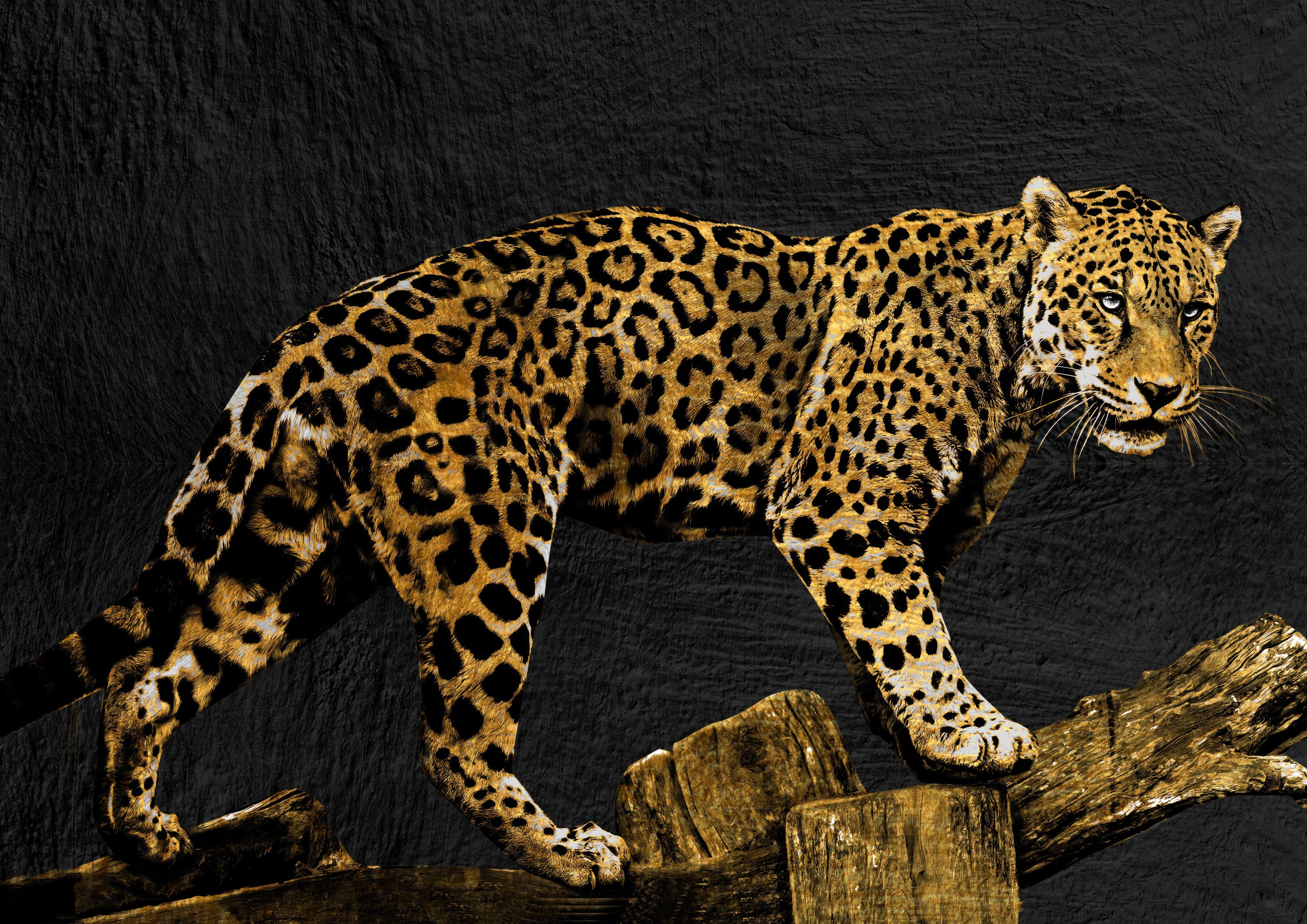 Negro y Dorado 197 - cuadro decorativo en canvas