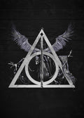 Harry Potter 048 - cuadro decorativo en canvas
