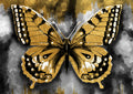 Negro y Dorado 196 - cuadro decorativo en canvas