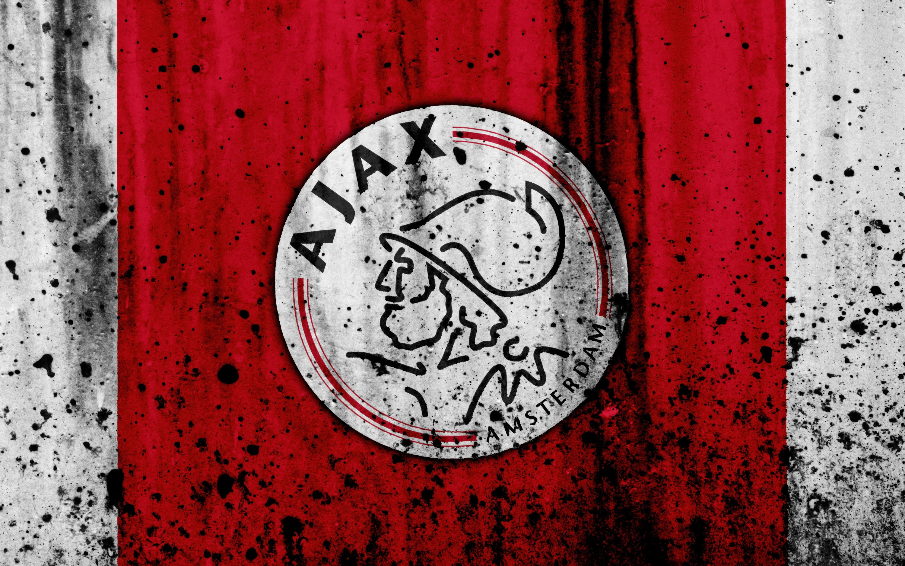 Ajax 004 - cuadro decorativo en canvas