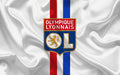 Olympique Lyonnais 011 - cuadro decorativo en canvas