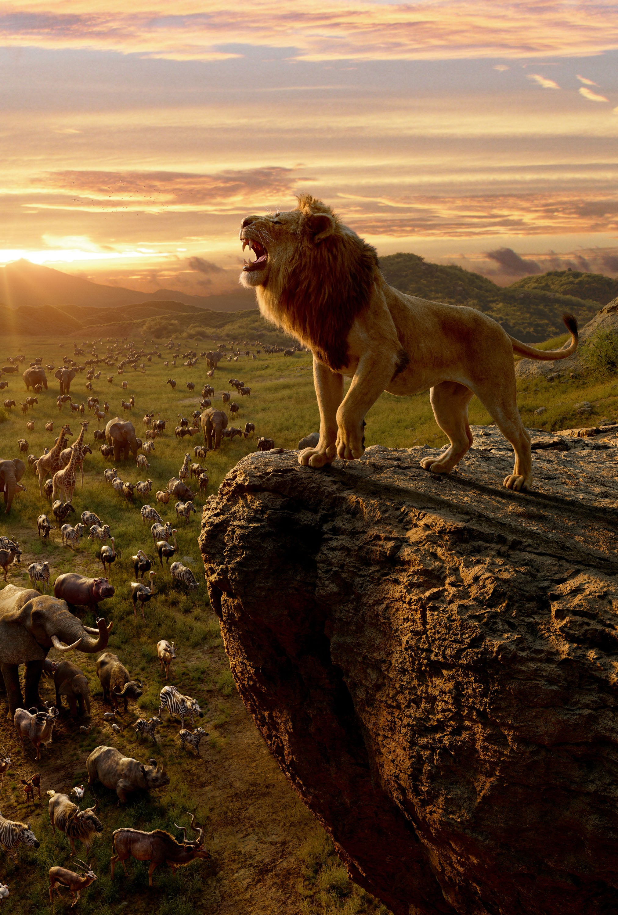 The Lion King 009