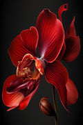 Flores 222 - Cuadro canvas Canvaradas