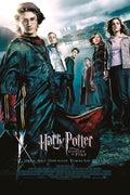 Harry Potter 034 - cuadro decorativo en canvas